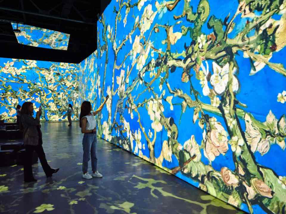 Van Gogh – The Immersive Experience | wystawa w Szczecinie