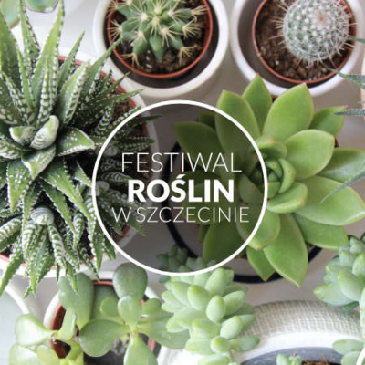 Festiwal Roślin w Szczecinie