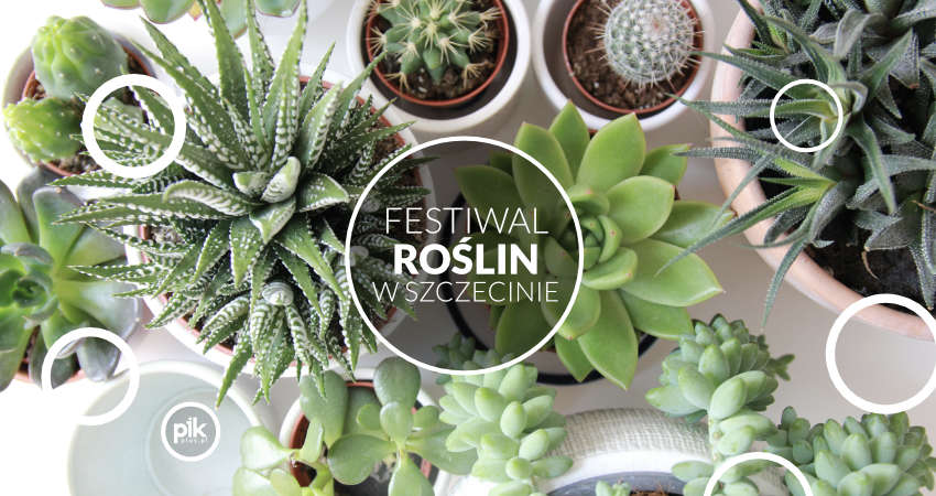 Festiwal Roślin w Szczecinie